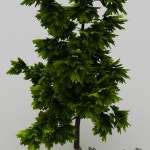 Tree 2 3D 모델 $9 - .fbx .obj .max - Free3D