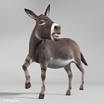 Donkey 3D 모델 $149 - .fbx .lwo .obj .xsi .c4d .ma .blend .max - Free3D
