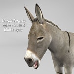 Donkey 3D 모델 $149 - .fbx .lwo .obj .xsi .c4d .ma .blend .max - Free3D