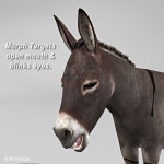 Donkey 3D 모델 $149 - .fbx .lwo .obj .xsi .c4d .ma .blend .max - Free3D