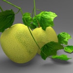 Honey Dew 3D 모델 $120 - .max - Free3D