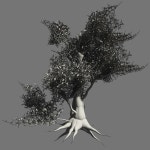 Olive Tree 9 3D 모델 $12 - .c4d .3ds .fbx .obj - Free3D