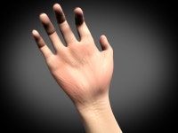 Hand 3D 모델 $35 - .ztl .obj .max - Free3D
