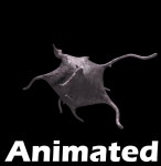 Platelet 3D 모델 다운로드 - Free3D