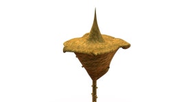 Sponge 3D 모델 obj - .obj 다운로드 - Free3D