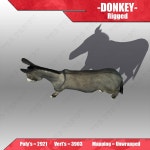 Donkey 3D 모델 $45 - .obj .fbx .max .3ds - Free3D