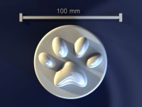 Paws 무료 3D 모델 다운로드 - Free3D