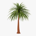 Palm 07 Modello 3D $19 - - Free3D