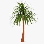 Palm 07 3D 모델 $19 - - Free3D