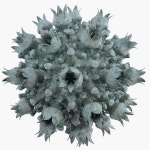 Micros 3D 모델 다운로드 - Free3D