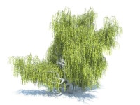Willow 3D 모델 다운로드 - Free3D