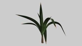 Yuccas 3D 모델 다운로드 - Free3D