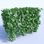 Fern # 1 3D 모델 $19 - .obj .max .fbx .3ds - Free3D