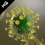 HIV 바이러스 3D 모델 $24 - .fbx .max .obj - Free3D