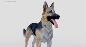 Shepherd Dog (Black & Tan) 3D 모델 $199 - .ztl .obj .max .ma .unknown .c4d - Free3D