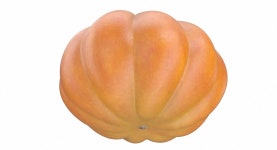 Pumpkin 3D 모델 $29 - .max .obj .fbx .3ds - Free3D