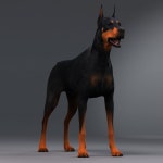 Doggy 3D 모델 다운로드 - Free3D