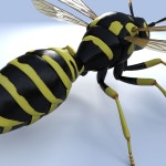 Wasp 3D 모델 $69 - .3ds .max .fbx .obj - Free3D
