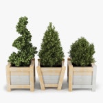 Boxwood 3D 모델 다운로드 - Free3D