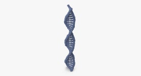 DNA 3D 모델 $29 - .max .obj .c4d - Free3D