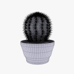 Cactus 3D 모델 $13 - .max .obj - Free3D
