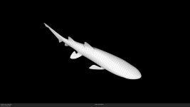 Shark 3D 모델 $5 - .c4d - Free3D