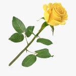 Rose 3D 모델 $9 - .max .3ds .fbx .obj - Free3D