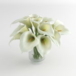 Calla Lily flower glass vase 01 3D 모델 $9 - .obj .fbx .max - Free3D
