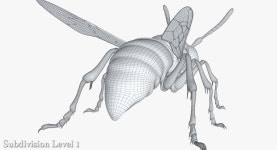 Wasp 3D 모델 $49 - .3ds .fbx .obj .max - Free3D