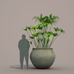 Papyrus 3D 모델 $9 - .fbx .obj .max .unknown - Free3D