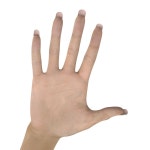 Female Hand 3 3D 모델 $49 - .c4d .max .ma .3ds .fbx .obj .gltf .usdz - Free3D