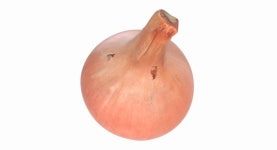 Onion 3D 모델 $29 - .obj .max .ma - Free3D