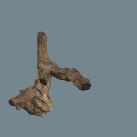 가지 그루터기 3D 모델 $10 - .max .ma .fbx .obj - Free3D