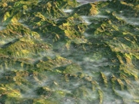 Green Hills 3D 모델 $79 - .max - Free3D