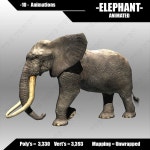 Elephant 3D 모델 $25 - .obj .max - Free3D