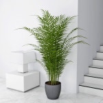 Palm 01 3D 모델 $19 - .3ds .fbx .max .obj - Free3D