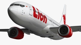 보잉 737 MAX Lion Air 3D 모델 $47 - .max .obj .fbx .blend - Free3D