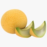 Melon 3D 모델 다운로드 - Free3D