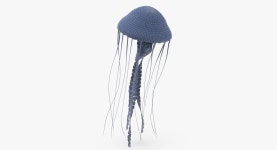 3 Jellyfish 3D 모델 $119 - .max .obj .c4d - Free3D