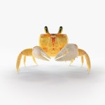 Crab 3D 모델 $5 - .c4d - Free3D