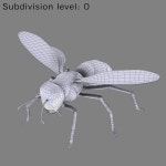 Wasp 3D 모델 $39 - .max .fbx .obj - Free3D