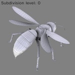 Wasp 3D 모델 $39 - .max .fbx .obj - Free3D