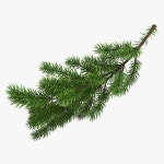 Stick 11 3D 모델 $49 - .3ds .c4d .fbx .lwo .ma .obj .max - Free3D