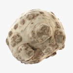 Celery 3D 모델 $19 - .3ds .blend .dae .fbx .obj .max - Free3D