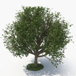 Ecleposs 3D 모델 다운로드 - Free3D