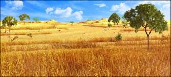Savannah 3D 모델 다운로드 - Free3D