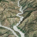 Palm 01 3D 모델 $19 - .3ds .fbx .max .obj - Free3D