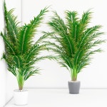 Houseplant 3D 모델 다운로드 - Free3D