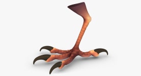 Bird Claw Feet 3D 모델 $20 - .3ds .fbx .obj .max - Free3D