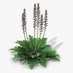 야리스 3D 모델 $59 - .lwo .obj .c4d .max - Free3D